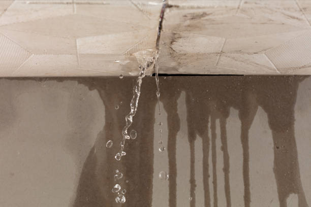 Professional Structural Drying technician working in Silverado, CA